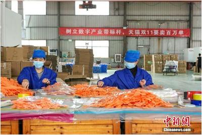 天貓雙11產(chǎn)業(yè)帶首日銷量井噴，7個(gè)產(chǎn)地1小時(shí)破億彰顯日用百貨消費(fèi)活力