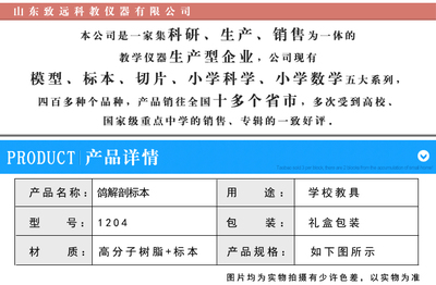 鴿解剖標本與包埋標本在中學生物教學中的應(yīng)用與選購指南
